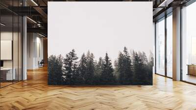 rocky high mountains. tops in the snow. tall spruce in the foreground. Forest fog laid on the tops of the trees weather mountains. Clouded Mountainside and Evergreen Tree Scape.  Wall mural