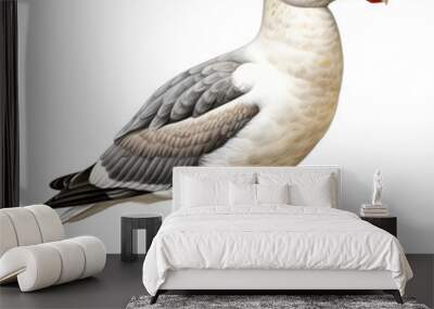 seagull isolated on white background Wall mural