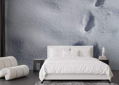 Snow texture. Background of pure blue and white snow. Winter pattern. Wall mural