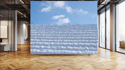 Snow texture. Background of pure blue and white snow. Winter pattern. Wall mural