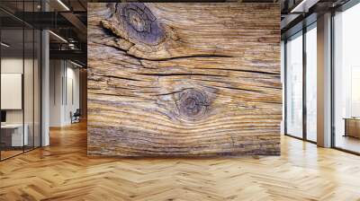 The texture of the old wood. Wall mural