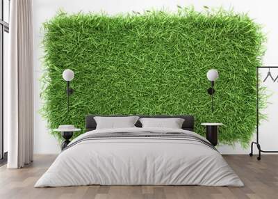 Top view of a dense, green grass patch with a vibrant texture, perfect for garden landscaping, isolated on a white background. 3D Render illustration Wall mural