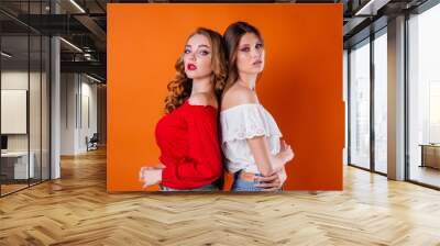 Two young and beautiful girls shows emotions and smiles in the Studio on an orange background. Girls for advertising Wall mural