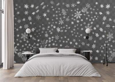 Vector snow on isolated transparent background. Snow png, snowflakes png. Snowfall, blizzard, winter. Snowy or Christmas background. Wall mural