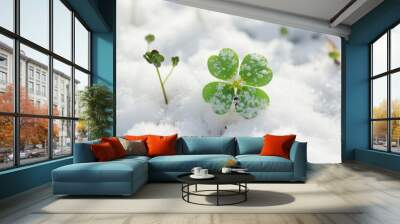 lucky clover in snow, christmas new year сreated with Generative Ai Wall mural