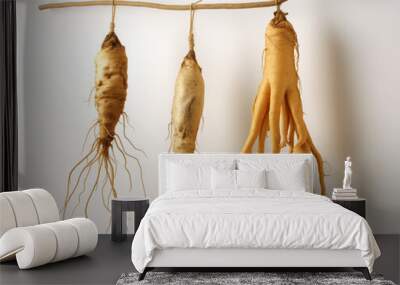 two dried ginseng roots hanging on a white background, in the style of strong facial expression created with Generative Ai Wall mural