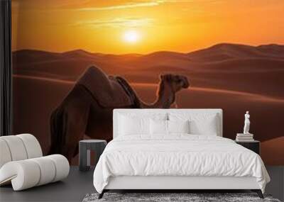 A camel is standing in the desert at sunset. The sky is orange and the sun is setting Wall mural