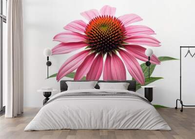 A close-up of a vibrant Echinacea flower, showcasing its natural beauty and medicinal potential, isolated on a white background. Wall mural