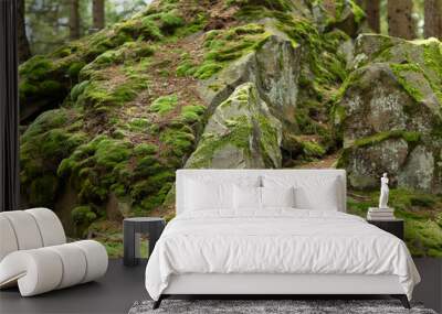 A moss-covered rock formation in a forest made up of large boulders and smaller rocks, all covered in bright green moss. Wall mural