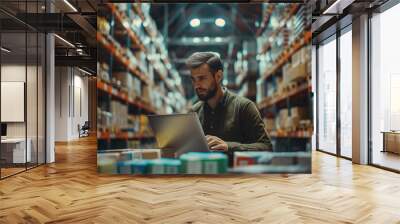 A young warehouse manager using a laptop, overseeing distribution and shipping among storage shelves. Wall mural