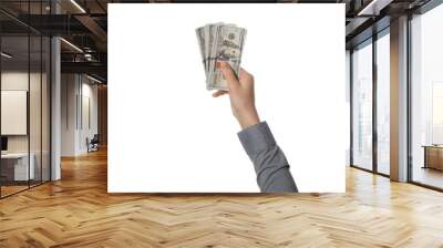 Hundred dollar bills (money) in hand isolated on white background. Income, profit and savings. Wall mural