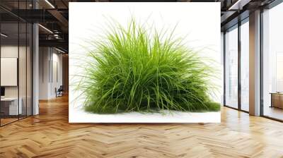 Lush green grass and plants against a pristine white background, depicting the beauty of nature. Wall mural