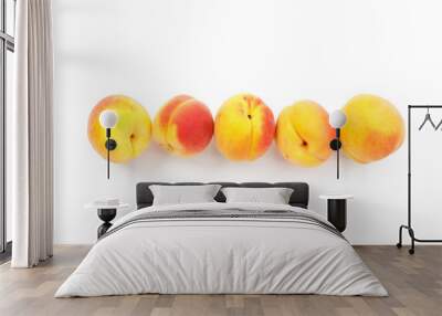 Row of ripe apricots on white background, yellow fruits. Wall mural