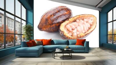 raw cocoa pod and beans isolated on a white Wall mural