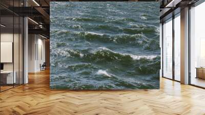 Sea waves on a windy summer day Wall mural