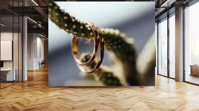 two wedding rings on a cactus branch Wall mural