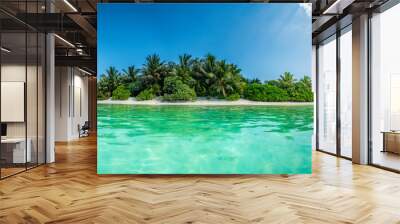 Thoddoo island panorama Wall mural