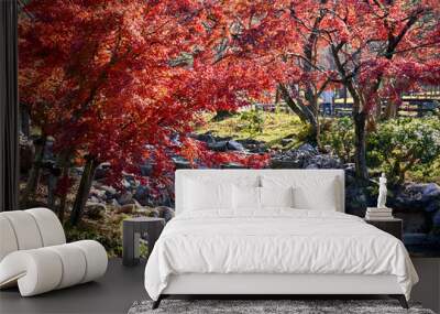 Autumn in the park with empty stream Wall mural