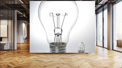 two bulbs Wall mural