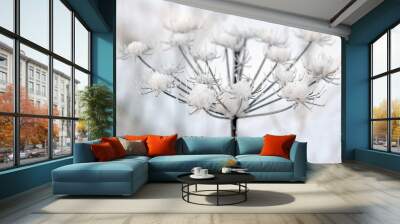 Frozen flower Wall mural