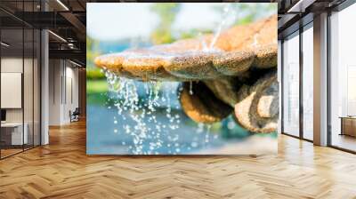 Closeup of light splashing water in sunny stone fountain in European village park in summer Wall mural