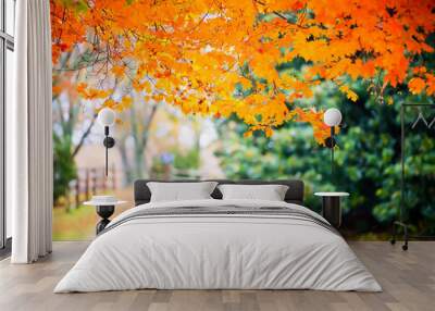 Colorful orange yellow red maple tree branch foreground autumn fall leaf color foliage leaves season in rural countryside background of dirt road in Albemarle county Virginia Wall mural