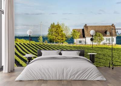 Landscape view of farm in Ile D'Orleans, Quebec, Canada with green rows of plants at field with house and wooden fence Wall mural