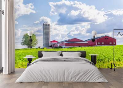 Landscape view of farm in Ile D'Orleans, Quebec, Canada with red harvest or crop storage silo building, green field of grass, dandelion flowers and cloudy, cloud sky Wall mural