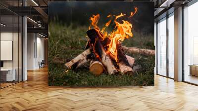 Bonfire. Orange flame of a fire. Bonfire on the grill with smoke. Bonfire background. campfire surrounded Wall mural