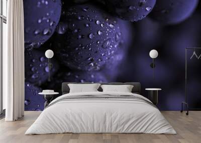 Close up, berries of dark bunch of grape with water drops in low light isolated on black background Wall mural