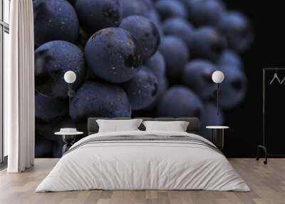 Close up, ripe dark grape berry isolated on black background Wall mural