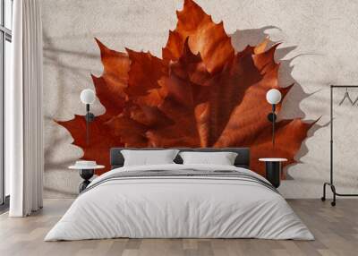 Dried maple leaves on pastel sunlit background with shadow. Autumn, fall, thanksgiving day concept. Flat lay, top view Wall mural