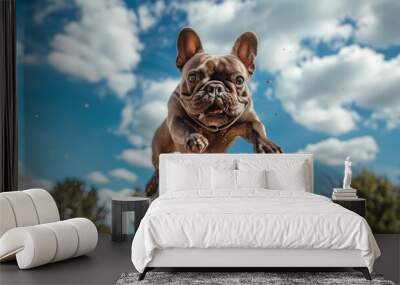 A French Bulldog joyfully leaps through the air against a bright blue sky with fluffy clouds. Wall mural