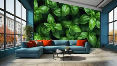 basil background  Wall mural