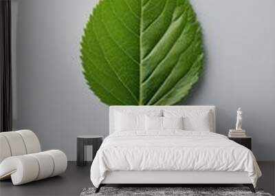 Close-up of a single green leaf with detailed veins on a plain grey background. Wall mural