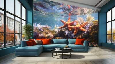 starfish on the rocks in the water of a vibrant thriving coral reef  Wall mural