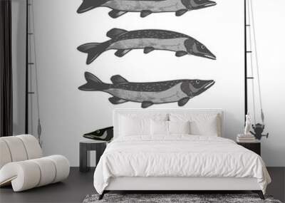 Sport fishing and a healthy lifestyle

fish pike in different poses. two spinning them different coils and baubles. Isolate on white background.
 Wall mural