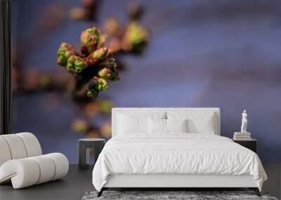 Flower bud in garden Wall mural