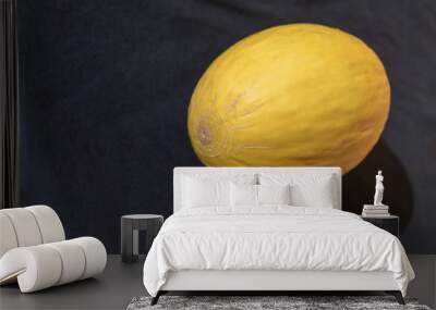 whole melon on a dark background Wall mural