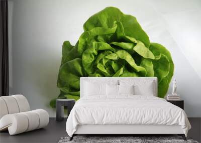 lettuce Wall mural