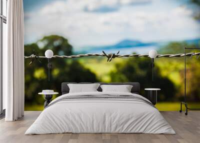 barbed wire fence Wall mural