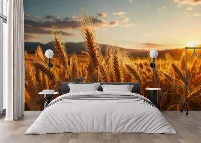 Sunset in a wheat field.  Wall mural