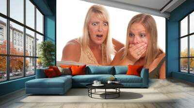 two shocked women using laptop Wall mural