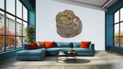 Tourmaline raw gemstone Wall mural