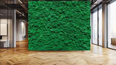 The background is made of live green moss. Eco-friendly wall decoration with plants. Wall mural