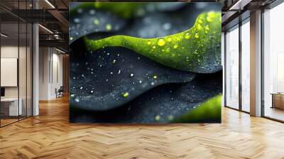 water drops on a green leaf background Wall mural