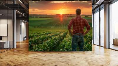 farmer or agronomist is working at his corn field or maize field at agriculture farm. Wall mural