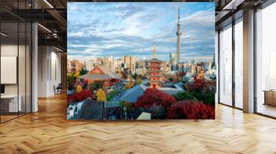 Sensoji temple with autmn and tower background from top view Wall mural