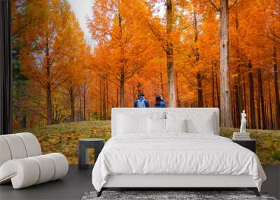 Korean couple walking in nami park in nami island Wall mural