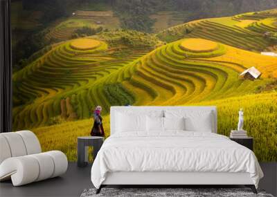 Vietnam. Rice fields prepare the harvest at Northwest Vietnam Wall mural